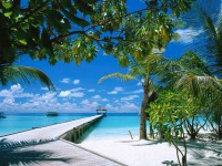 8.-Maldives.jpg