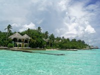swim-2011-21388__416.jpg