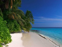 maldives_otdyh_9.jpg