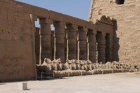 IMG_9876.jpg