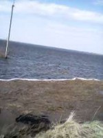 IMG0254A.jpg