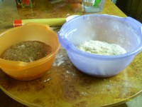 IMAG0107.JPG