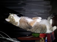 20121213_235229.jpg