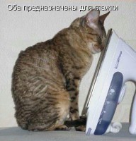 QE.jpg