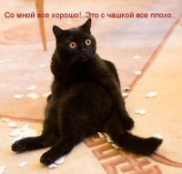 IP.jpg