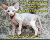 kto-vseh-bogache_1334472541.jpg