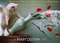 getImageCAC625LA.jpg