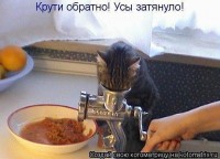 getImageCAMZCI0W.jpg