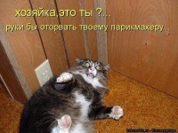 getImageCAUF3UUZ.jpg