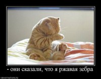 getImage (79)[1].jpg