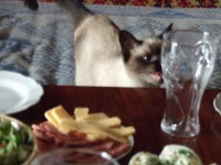 DSCF7115.jpg