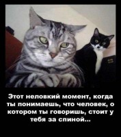 x_38392e08.jpg