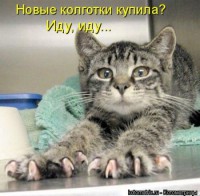 1289462501_kotomatrix_12.jpg