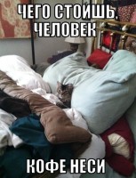 voQyrzMxdgc.jpg