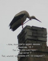 репейчику.jpg