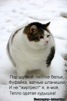 kotomatritsa_bY[1].jpg
