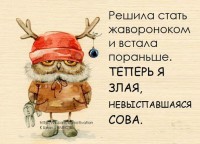 97103582_large_image015.jpg