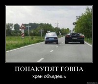 машины.jpg