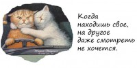 l6BIBNDVfXg.jpg
