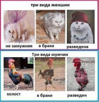 в браке.jpg