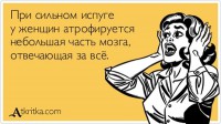 мозг.jpg