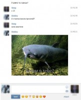 сом.jpg