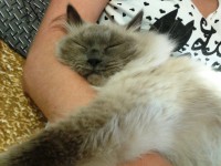 2013-07-25 16.14.42.jpg