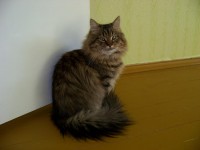 егш.JPG