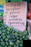 ягода.jpg