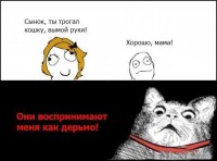 кошка.jpg
