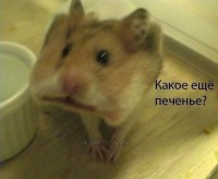 4lRDGI6JKug.jpg