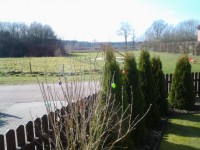 20160326_142909.jpg